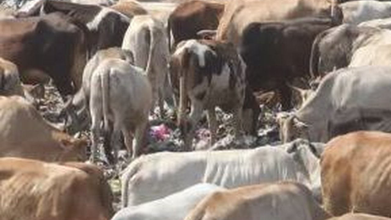 Maksimalkan TPST di Tingkat Desa, Begini Cara Bantul Sikapi Penutupan TPST Piyungan