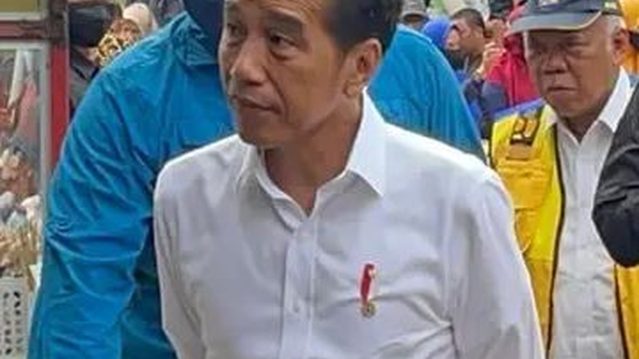 PMII Temui Jokowi, Bahas Kajian IKN hingga Pemilu 2024