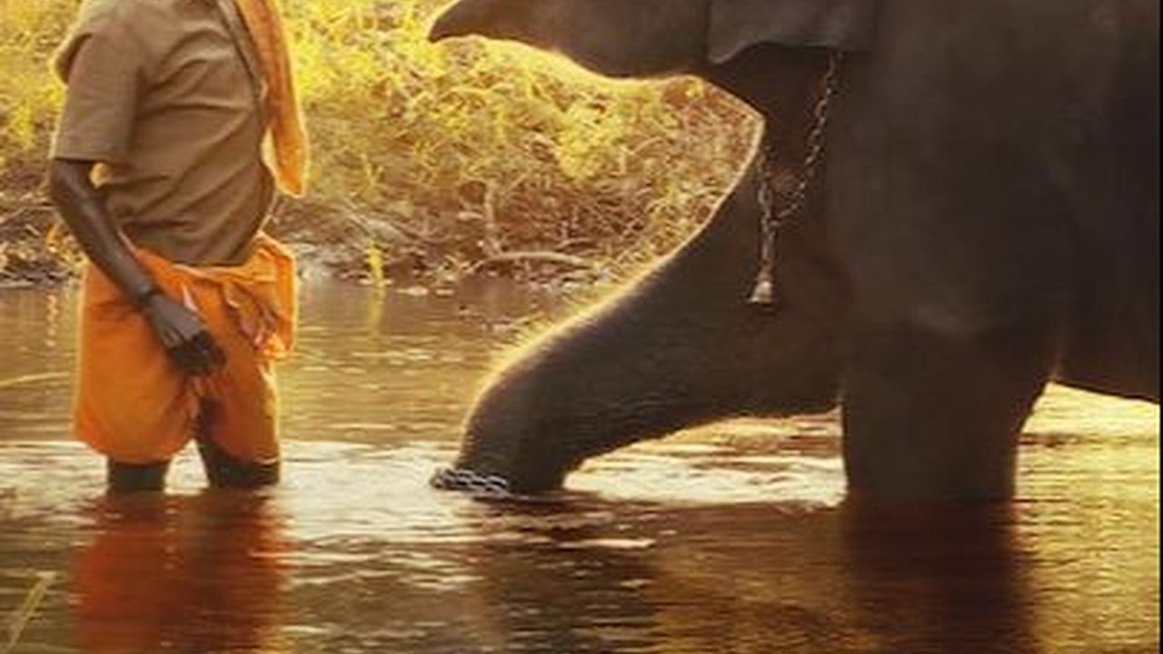 7 Film Dokumenter Terbaik di Layanan Striming Indonesia