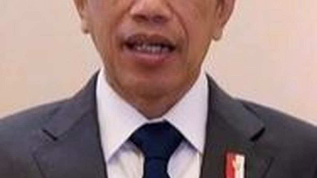 Jokowi akan Bertemu Presiden Xi Jinping di China 27 Juli