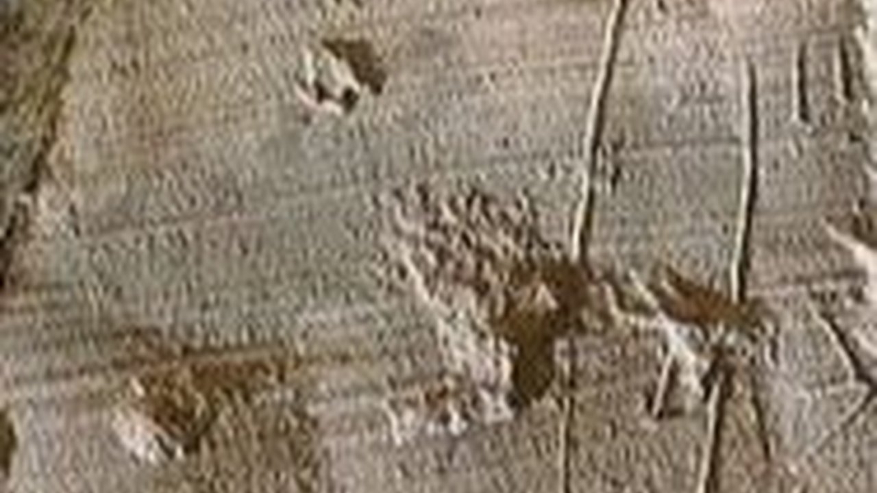 Bisakah Batu Bertumbuh Besar Seperti Makhluk Hidup?