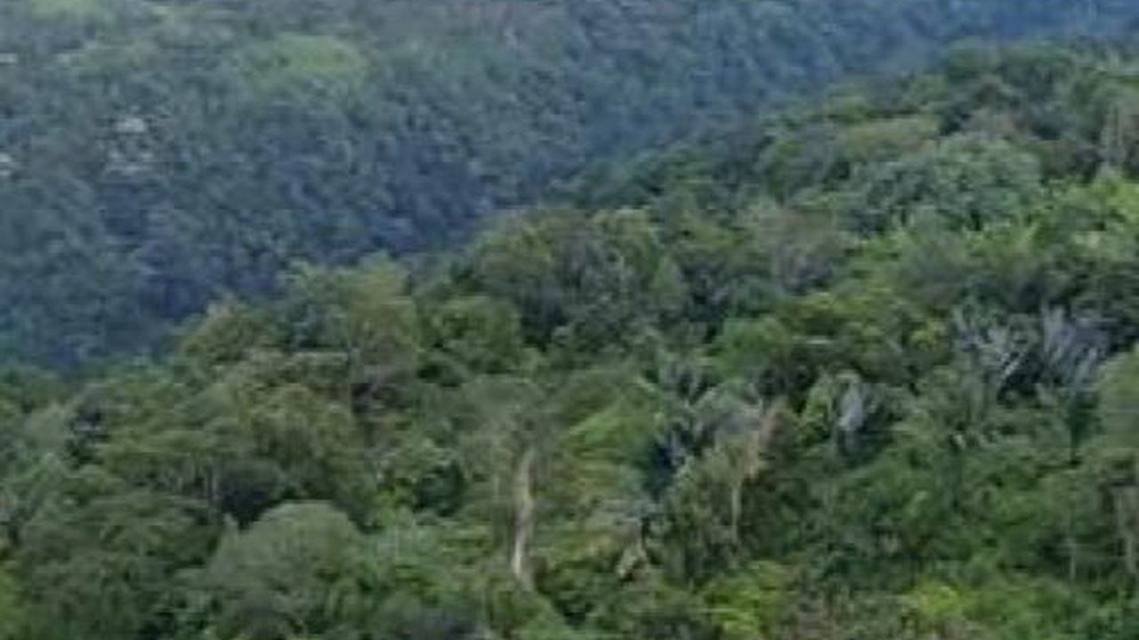 Mengunjungi Desa Bintang Hulu, Ada Mata Air yang BIsa menyembuhkan Penyakit