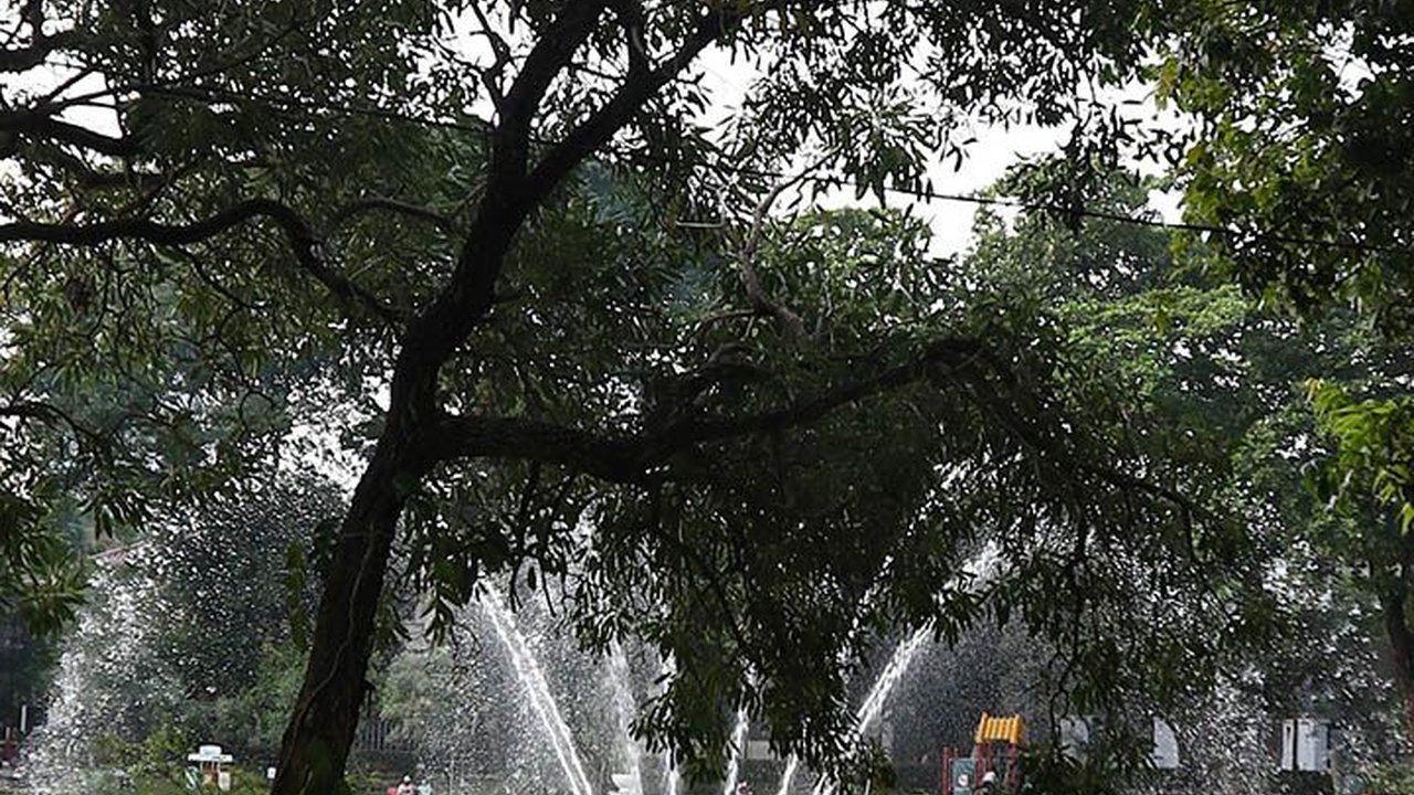 FOTO: Menikmati Keasrian Taman Situ Lembang, Ada Danau Peninggalan Belanda