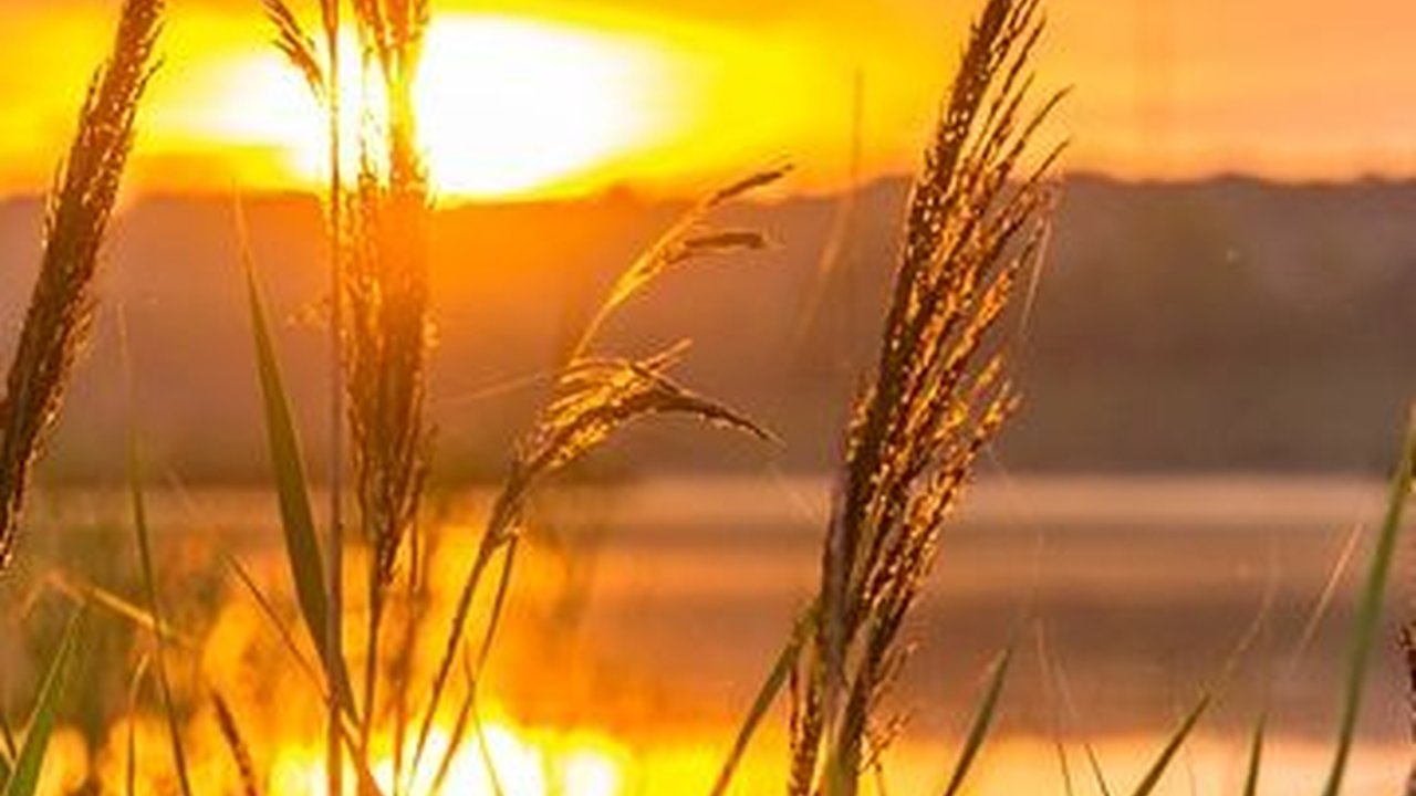 Hukum Tidur Setelah Sholat Subuh, Ketahui Kerugiannya