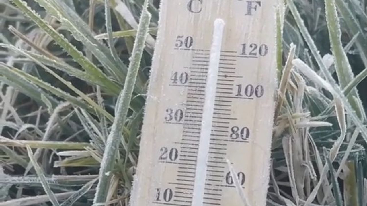 Begini Kondisi Dieng yang Membeku Lagi, Suhu di Bawah Nol Derajat Celsius