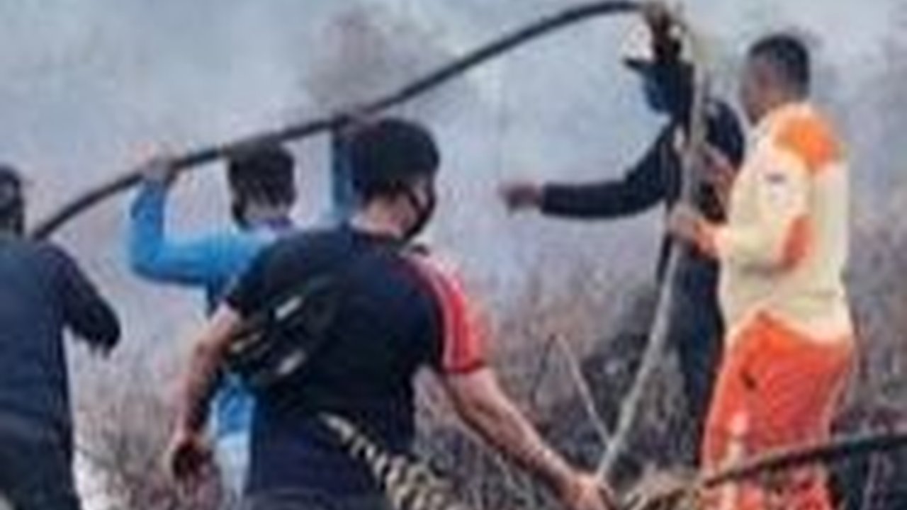 Warga Sumsel di Wilayah Ini Dilarang Keras Nyalakan Api, Ada Karhutla dan Kabut Asap Mengancam
