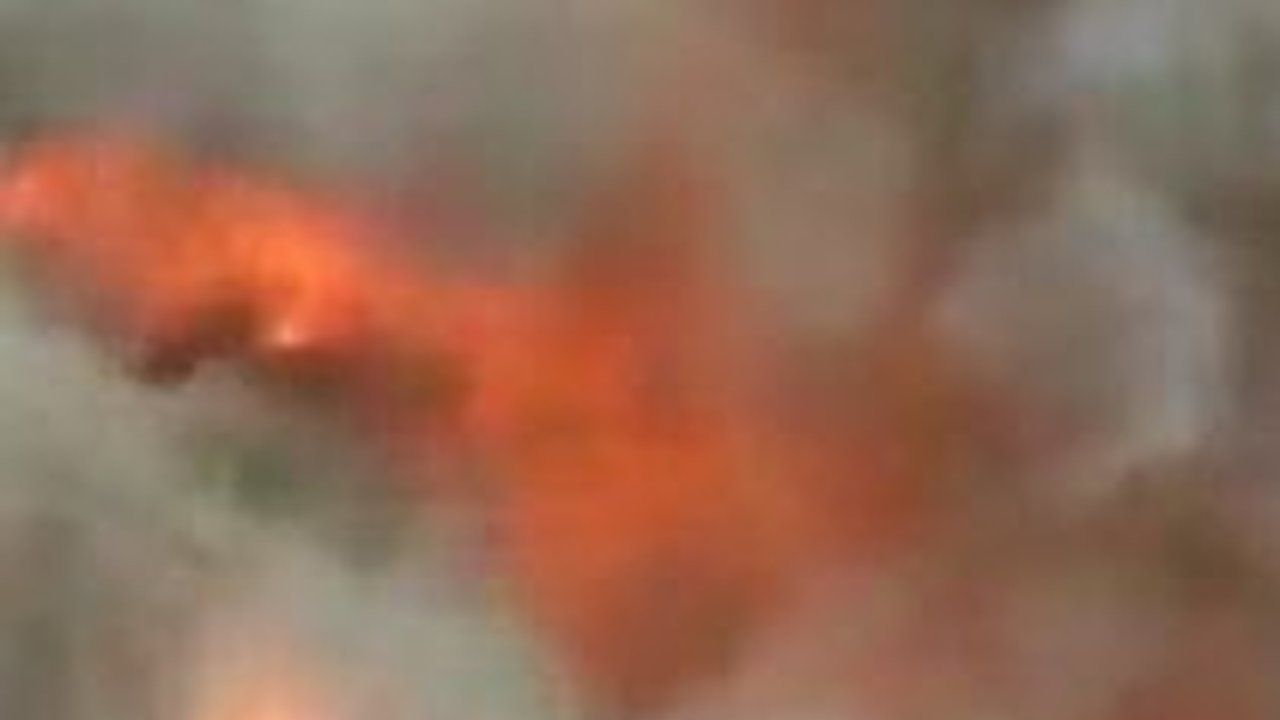 Potret Si Jago Merah Mengamuk Hanguskan Puluhan Rumah, Penyebabnya Sepele