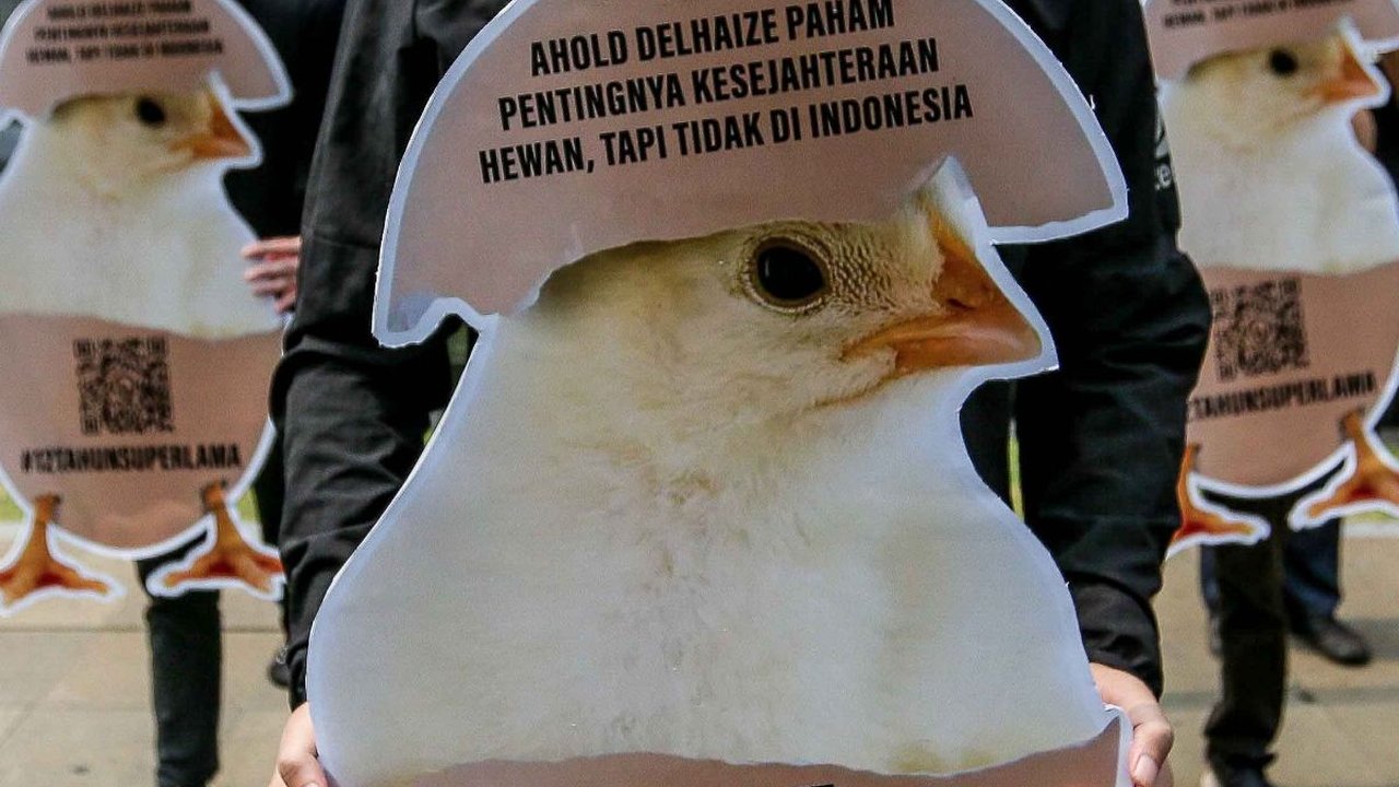 FOTO: Protes Peternakan Ayam Kandang Baterai, Aktivis AFFA: 