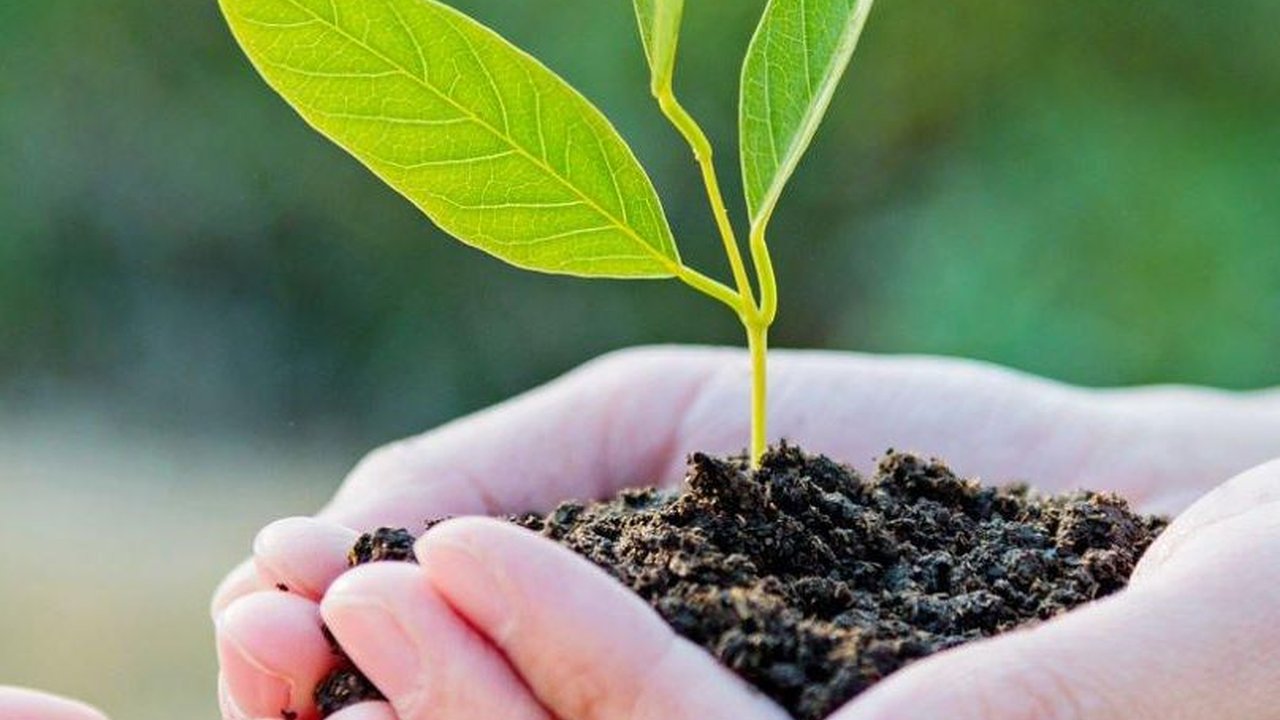 Peringatan Hari Konservasi Alam Sedunia 28 Juli, Berikut Sejarah dan Tujuannya