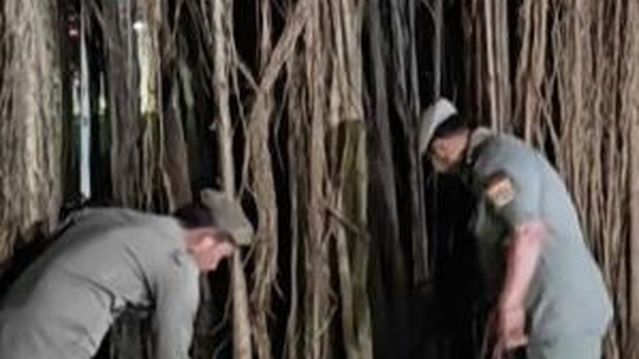 Sederet Upaya Cegah LGBT di Hutan Kota Cawang: Satpol PP Jaga 24 Jam hingga Tambah Lampu Sorot