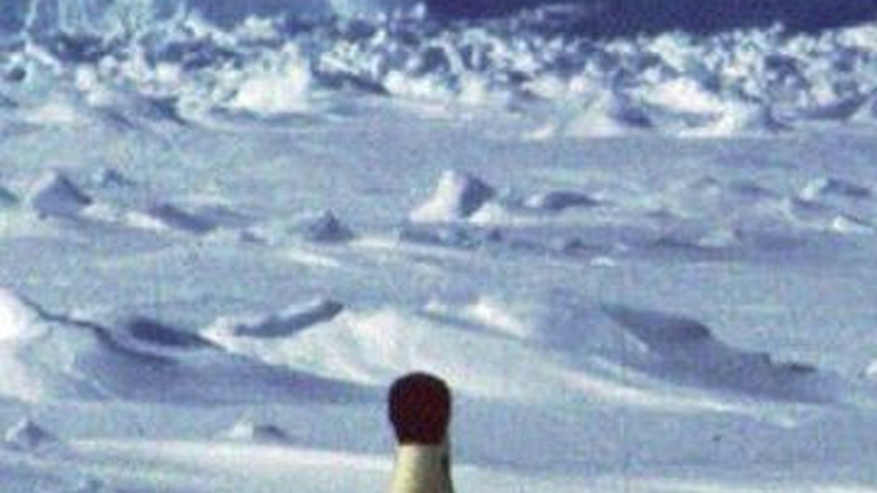 Es di Laut Antartika Capai Titik Terendah, Para Ilmuwan Mulai Takut