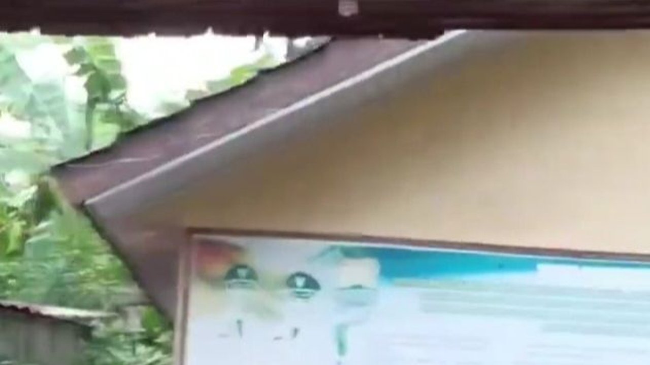 Pak Lurah Syok Berat Papan Running Text di Kantornya Muncul Kata-Kata Tak Senonoh, Begini Krolonoginya