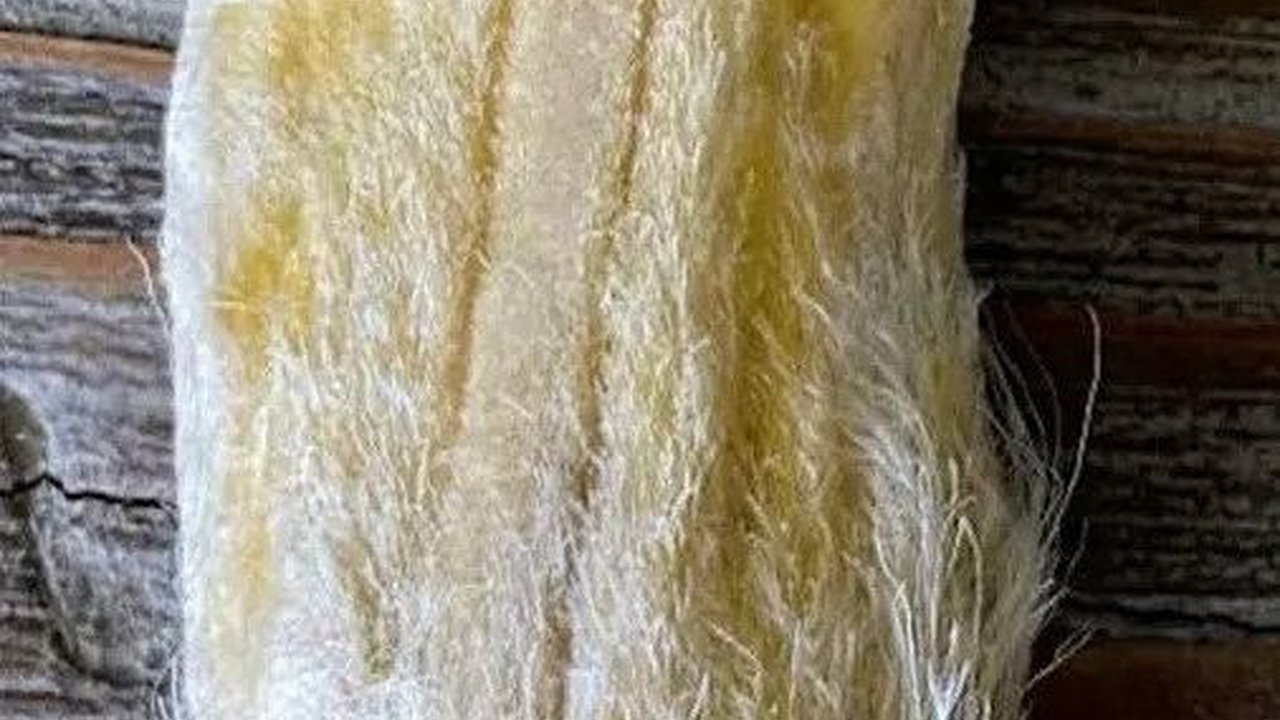 Tren Aneh Anak Muda China: Pelihara Biji Mangga Seperti Hewan Peliharaan