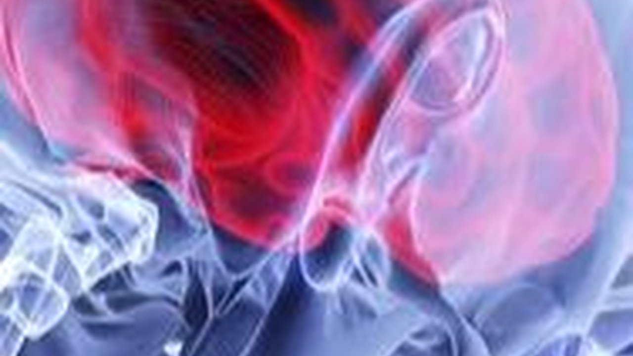 Kunci Otak Selalu Sehat hingga Usia Tua, Salah Satunya Sering Sosialisasi