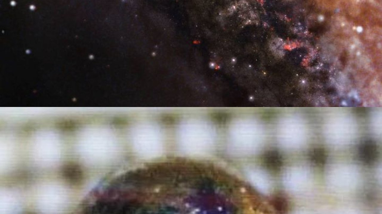 Profesor Ini Senang Bukan Kepalang Bisa Sentuh Benda dari Luar Tata Surya yang Dicari-cari