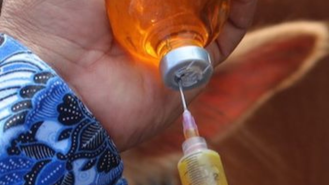 Satu Warga Gunungkidul Meninggal Karena Antraks, Ini Kronologinya