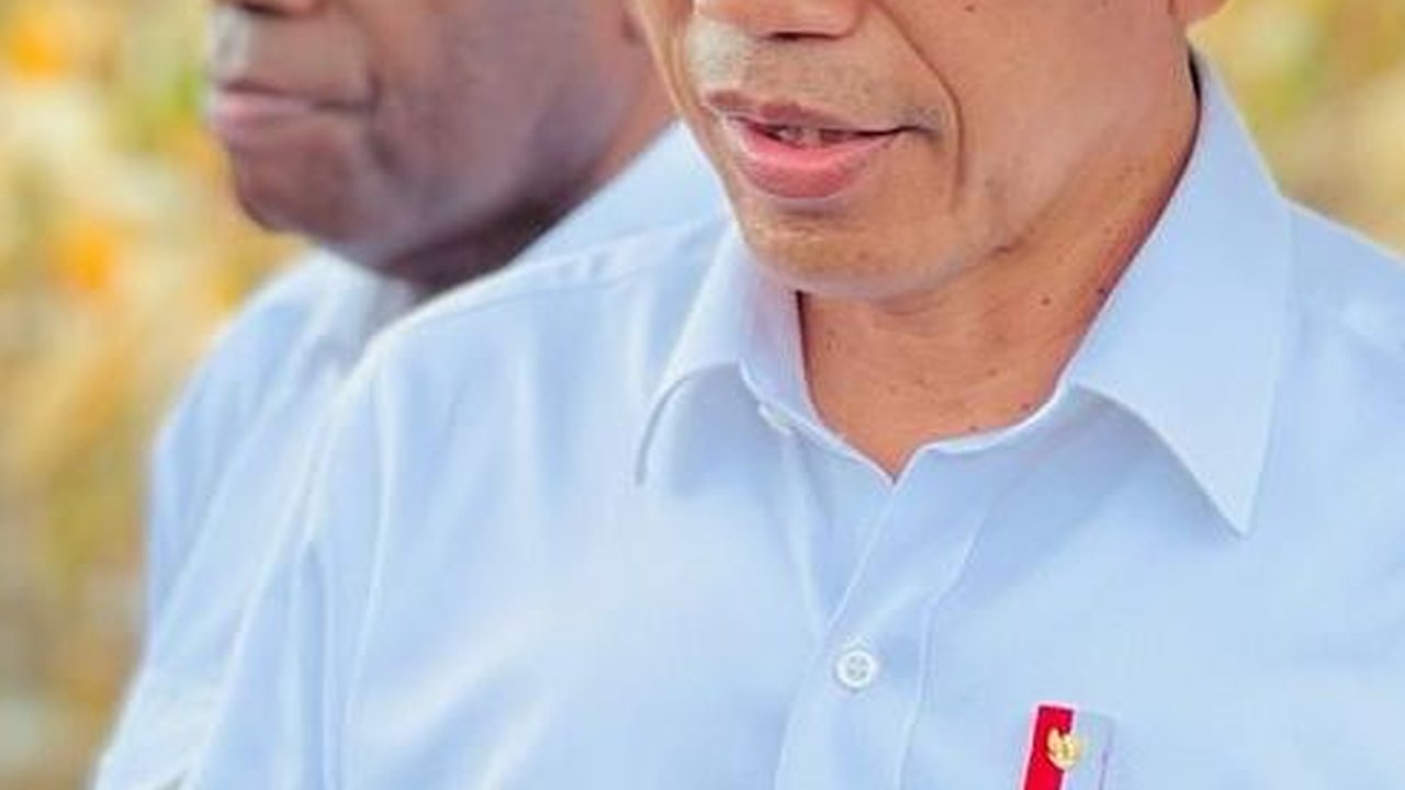 Pakai Caping, Jokowi Tinjau Ladang Jagung di Food Estate Kabupaten Keerom