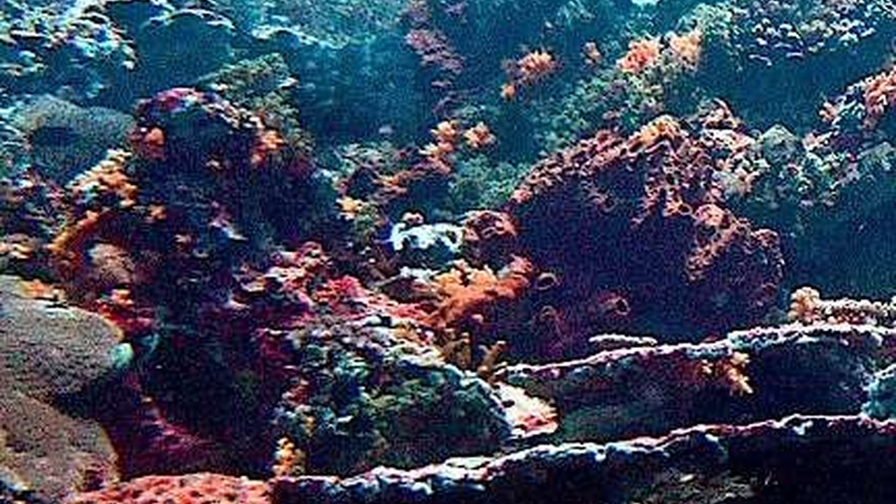 Air Laut di Klungkung Bali Bisa Langsung Diminum