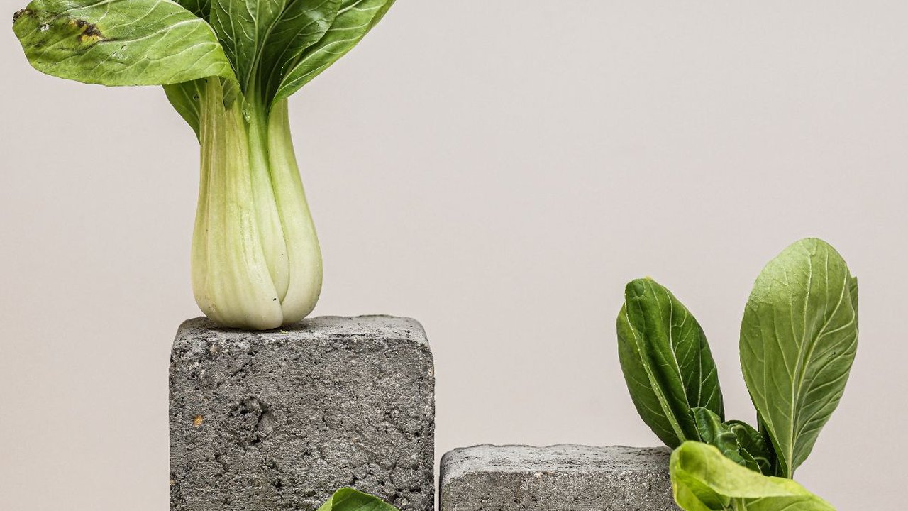 8 Manfaat Pakcoy untuk Kesehatan, Bantu Cegah Penyakit Jantung