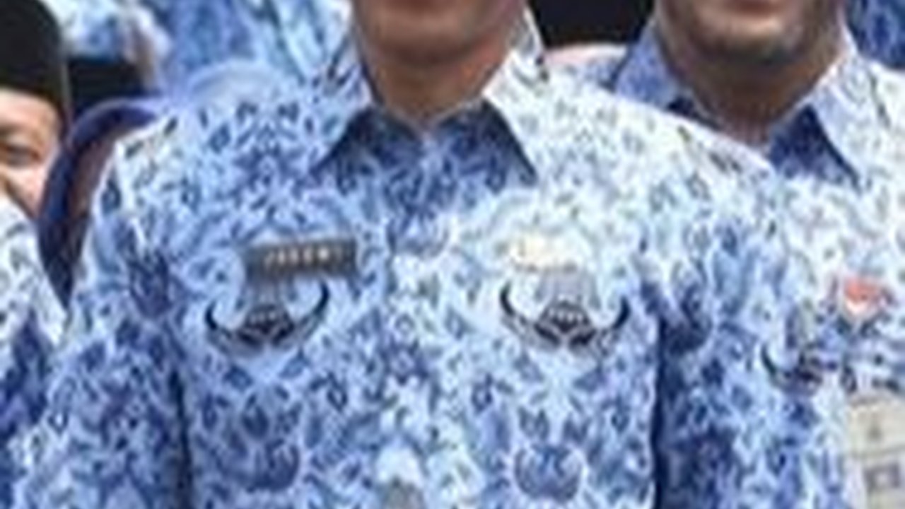 Jumlah Honorer Membengkak, Bakal Ada PHK Massal?