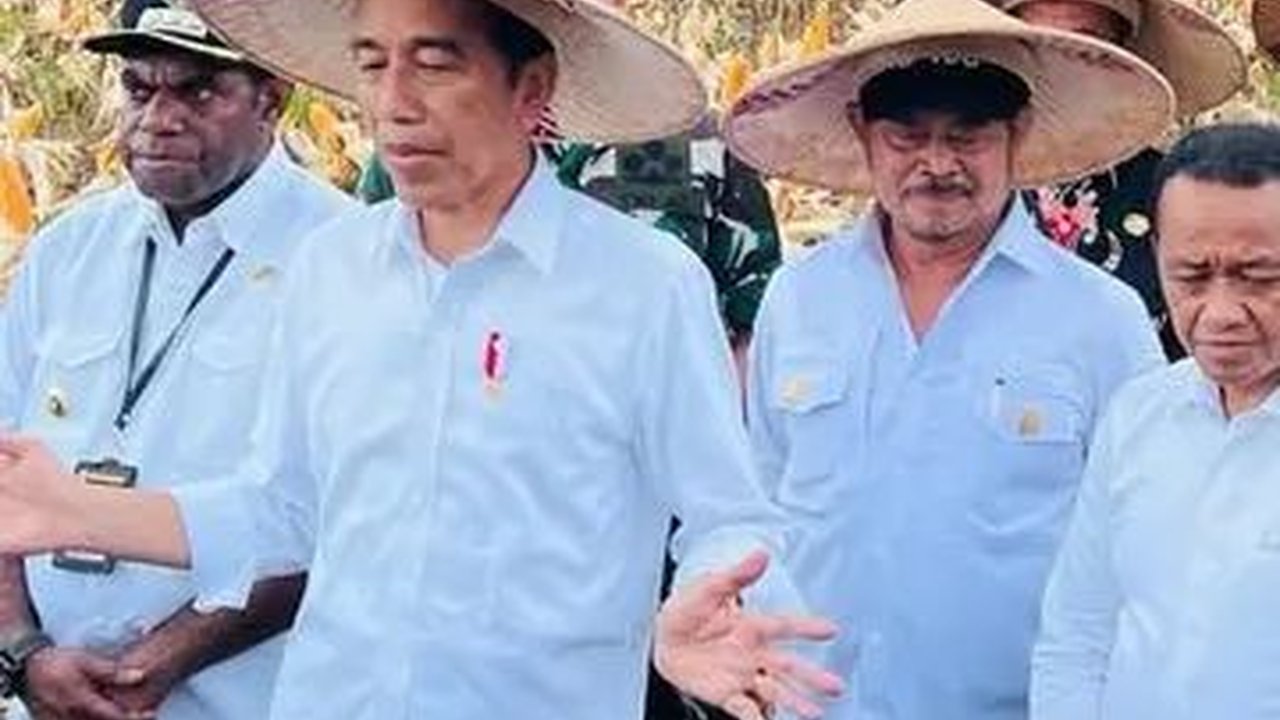Jokowi Harap Food Estate Keerom Bisa Penuhi Kebutuhan Jagung Nasional