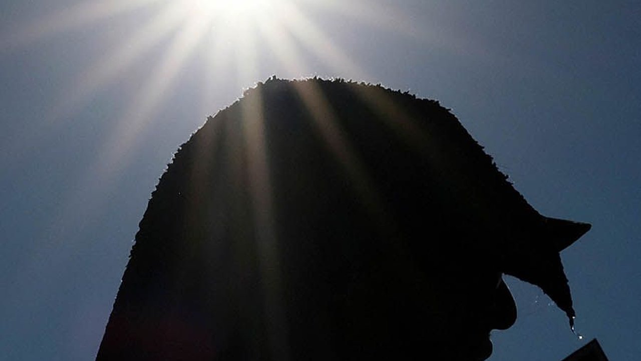 FOTO: Meksiko Terpanggang Cuaca Panas 50 Derajat Celcius, Ratusan Orang Dilaporkan Tewas