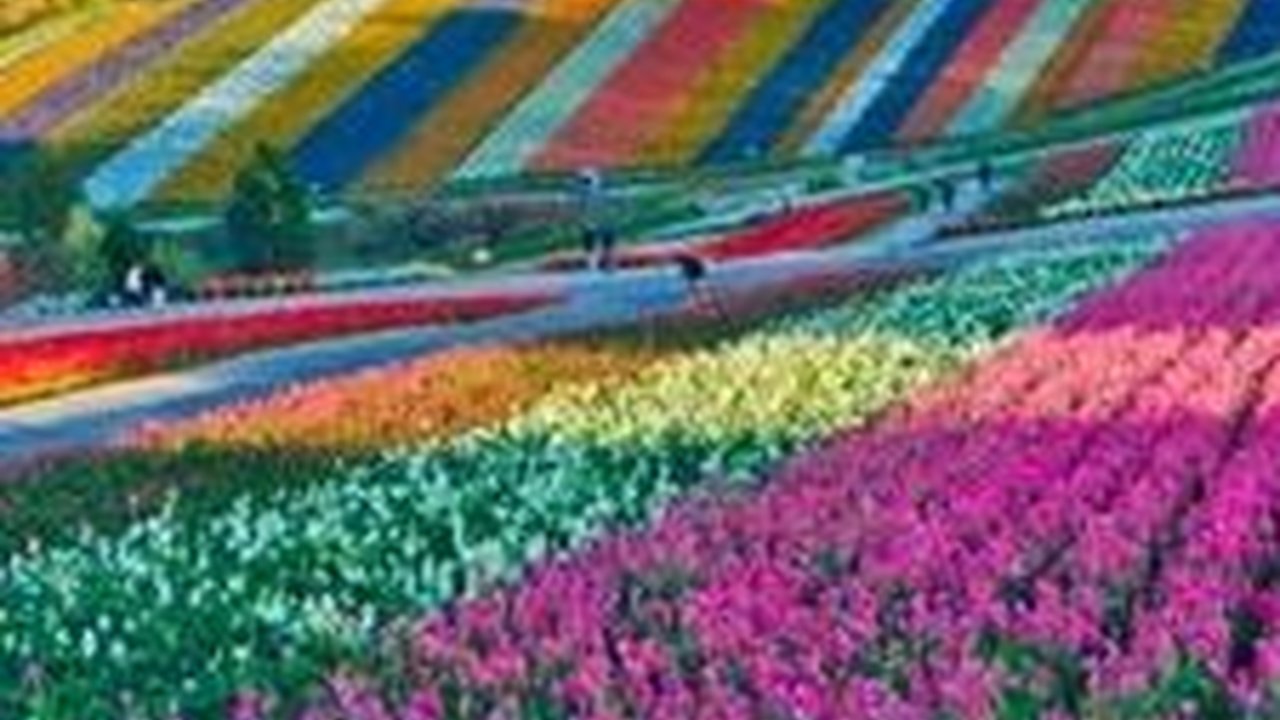 10 Destinasi Wisata Terbaik saat Musim Panas di Jepang