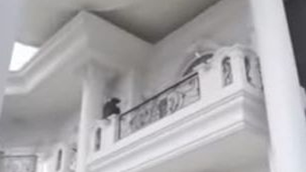 Mewah dan Megah Bak Istana, Ini Potret Rumah Putri Ariani yang Membuat Maia Estianty Melongo
