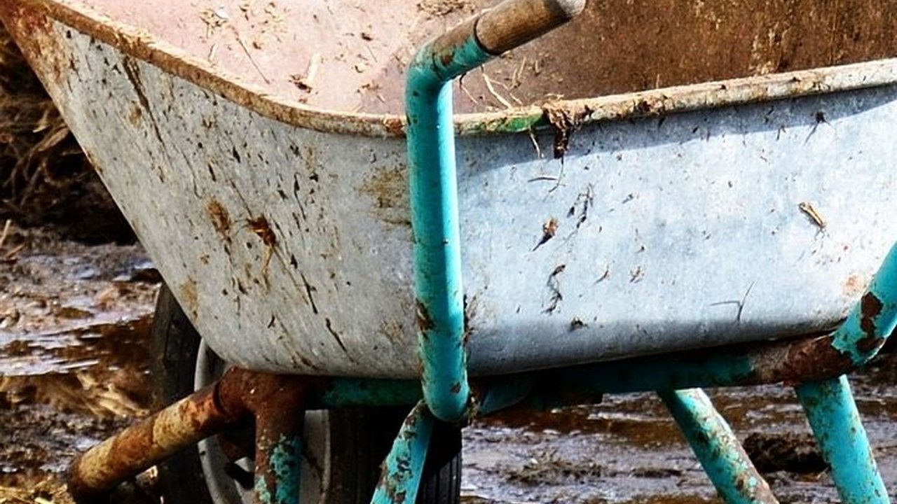 Dulu Diprotes Warga, Rumah Potong Hewan di Cilegon Sulap Limbah Kotoran Jadi Pupuk Organik