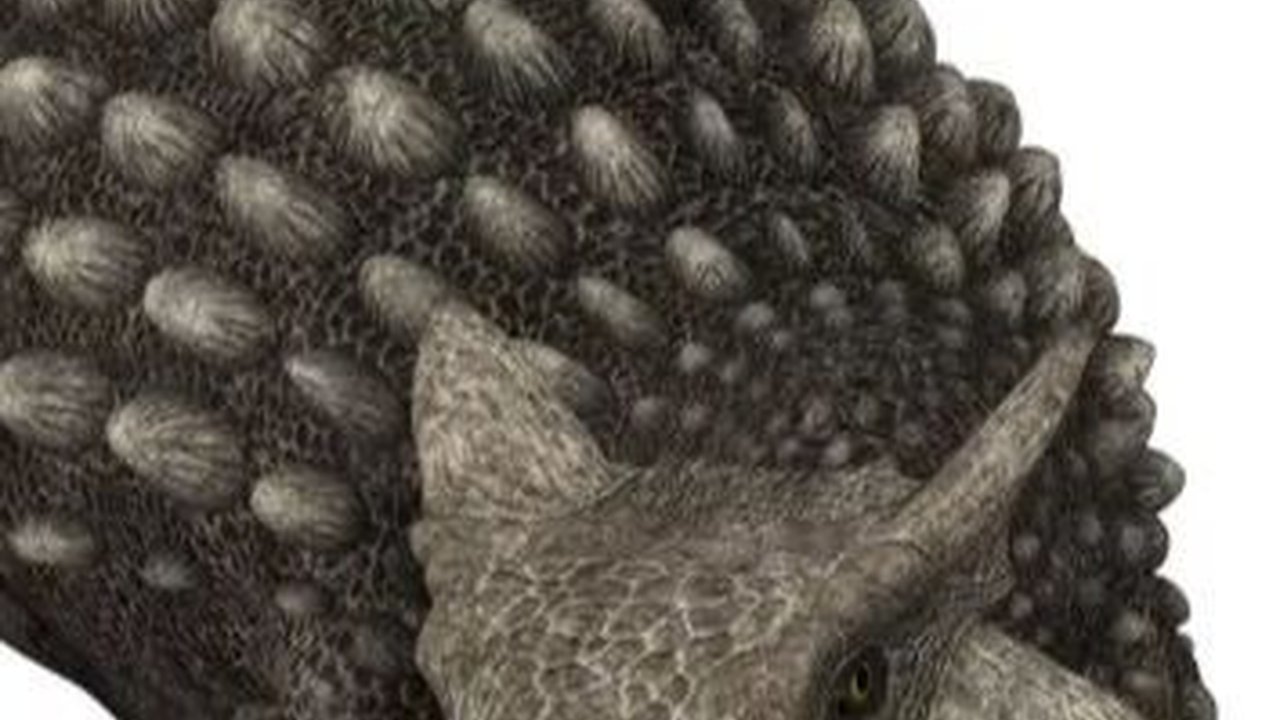 Jalan-Jalan di Pantai, Pria Ini Temukan Jejak Kaki Dinosaurus Berusia 100 Juta Tahun, Jarinya Terlihat Jelas