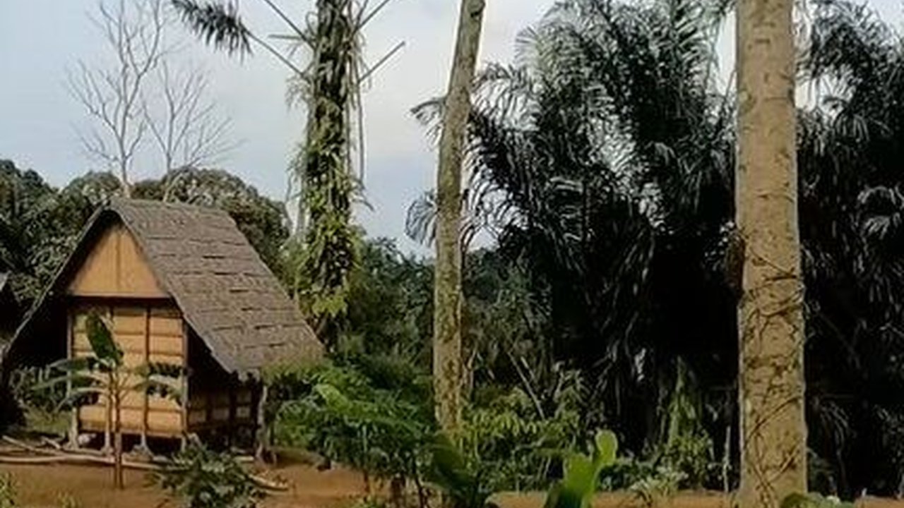 Tak Banyak Diketahui, Begini Cara Suku Baduy Memakamkan Warganya