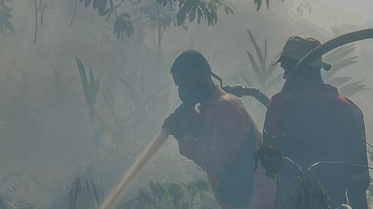 FOTO: Pekanbaru Siaga Kebakaran Hutan Akibat Cuaca Panas Ekstrem