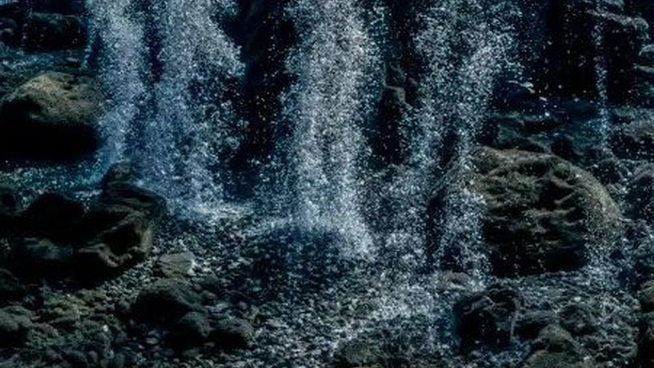 Ikan Pertama yang Bisa Berjalan Ini Simpan Satu Juta Telur di Gunung Api Bawah Laut