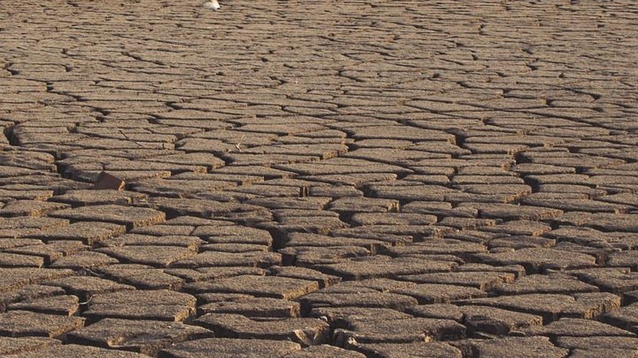 Dampak Kekeringan dari El Nino Banyak Dirasakan Warga, BPBD Lebak Siapkan Penanganan Ini