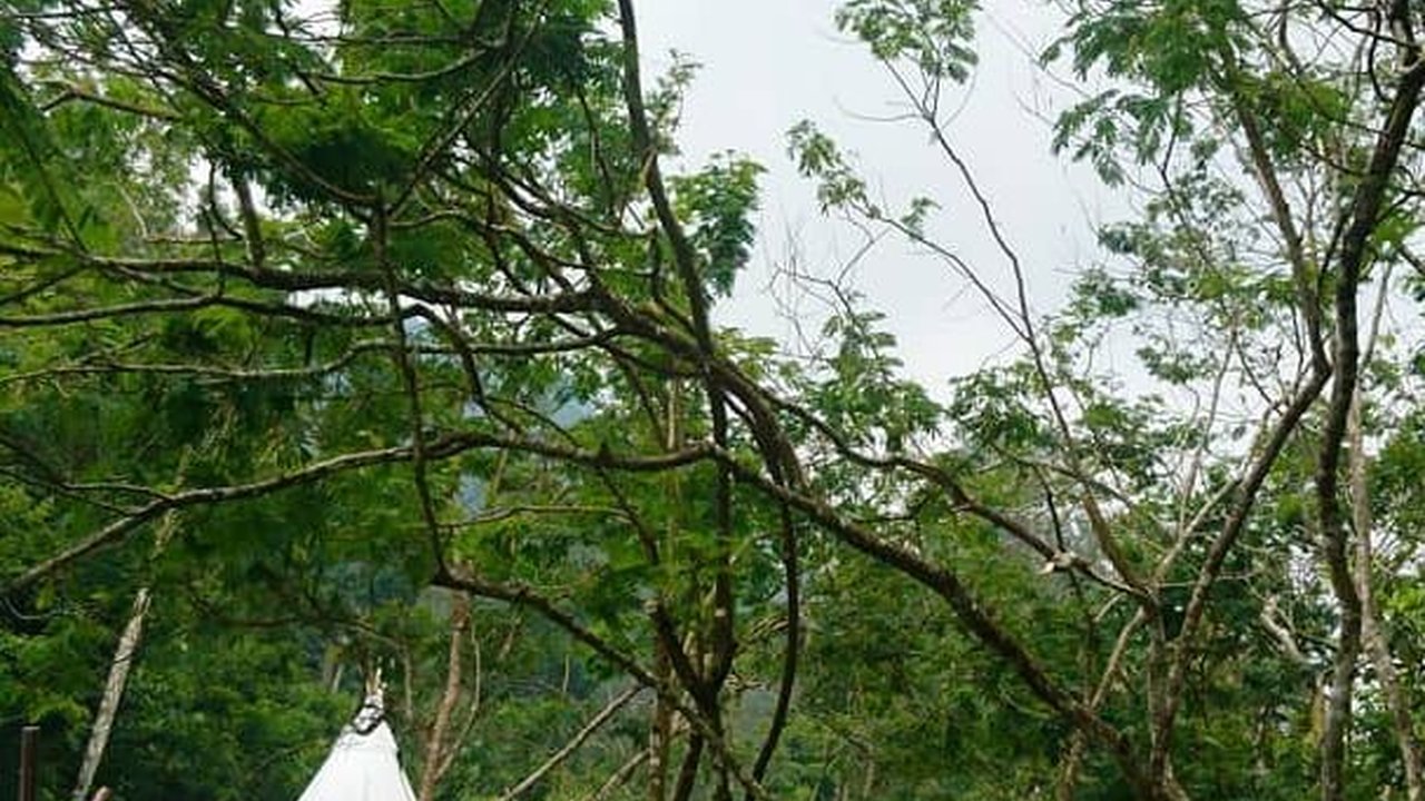 Wakili Indonesia di Ajang Pariwisata Internasional, Intip Daya Tarik Batulayang Cisarua