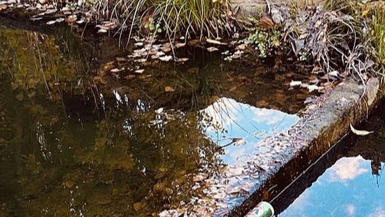 Pengertian Limbah Cair dan Dampaknya bagi Lingkungan, Ancam Ketersediaan Air