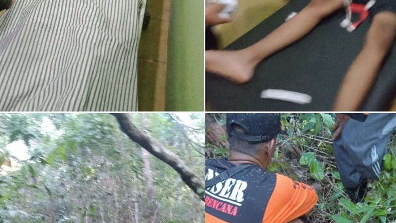 Minta Ganti HP Tak Dituruti, Remaja ‘Ngambek’ Lari ke Hutan 3 Hari, Berakhir Dievakuasi SAR