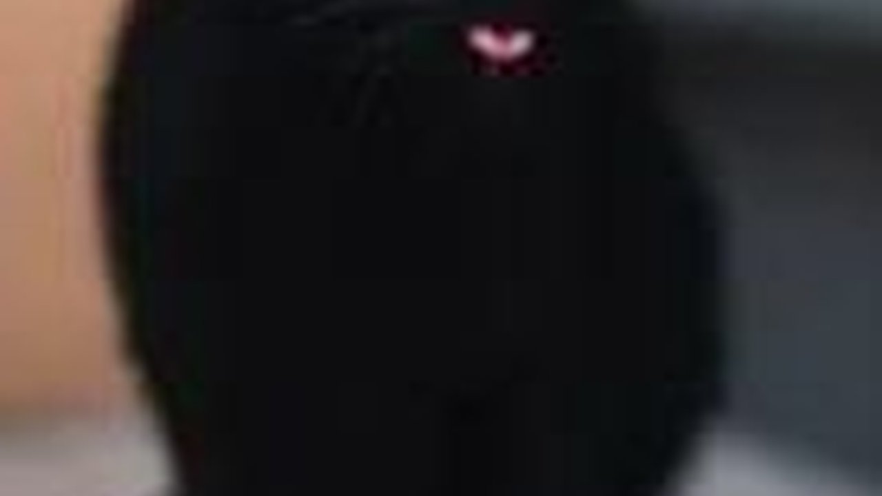 Ini Dia Kucing Terkaya di Dunia, Punya Uang Rp487 Juta