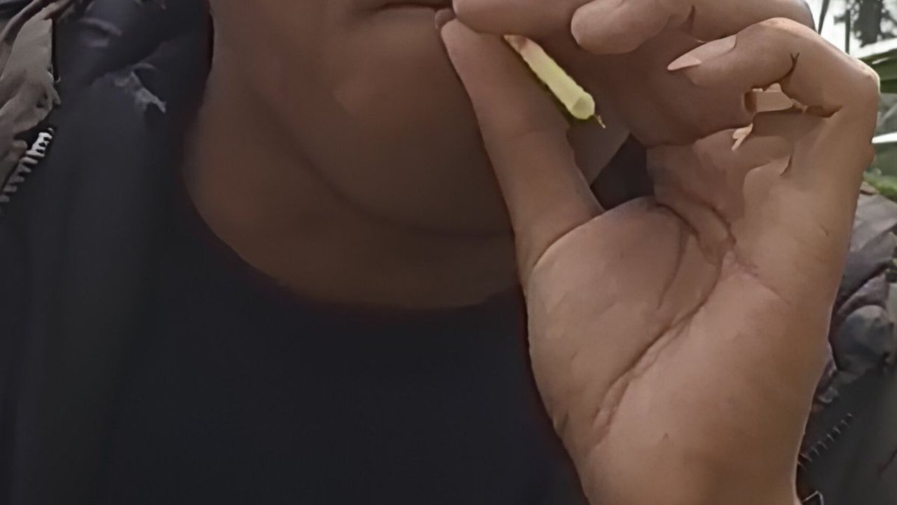 Mengenal Permainan Sunda Empet-Empetan, Terbuat dari Batang Padi dan Bisa Keluarkan Suara Mirip Suling