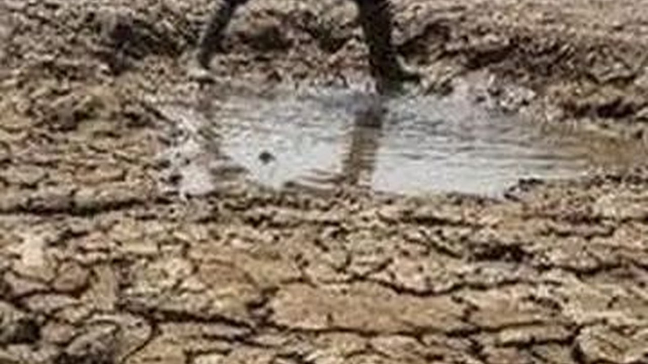 Dampak Kekeringan, Warga Kabupaten Bogor Mandi Pakai Air Kubangan