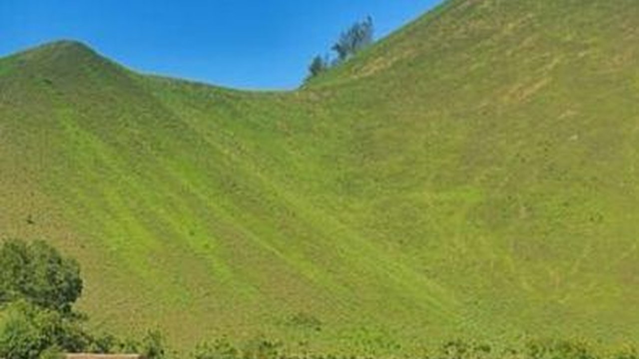 Eksotisme Kawah Wurung Bondowoso, Miniatur Gunung Bromo Mirip Bukit Teletubbies