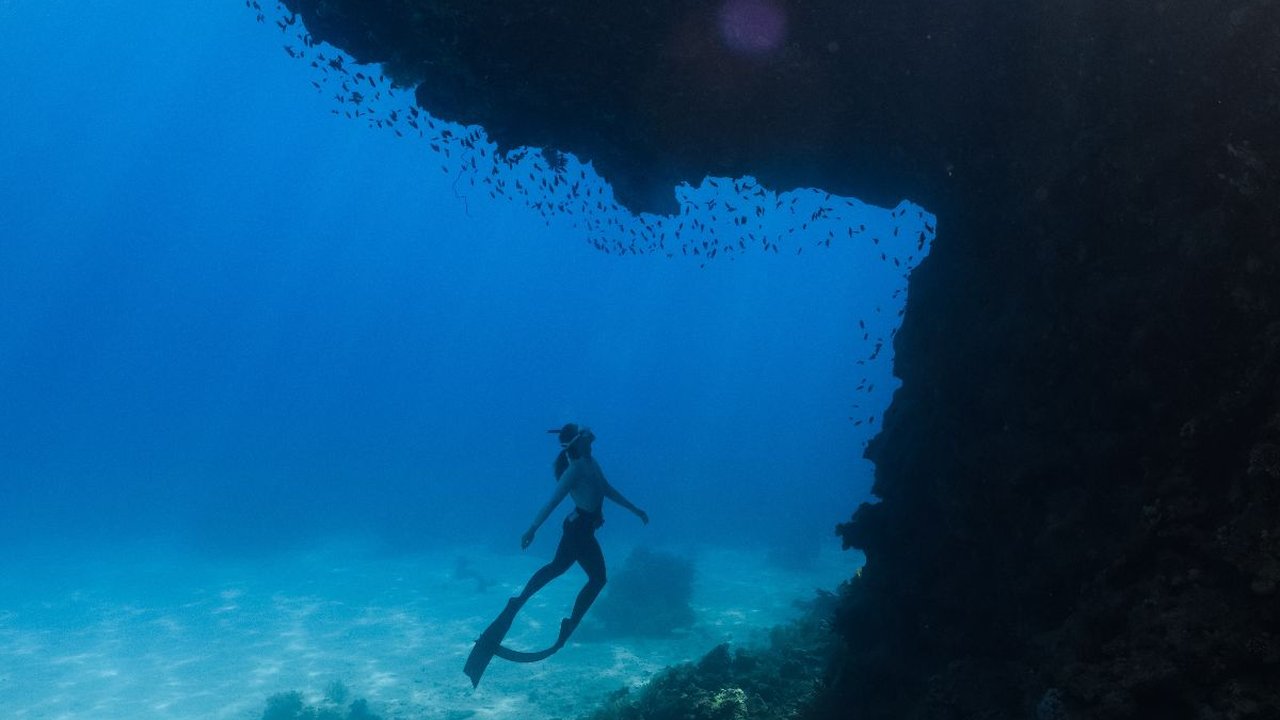 Ilmuwan Temukan Spesies Baru Monster Laut dengan 20 Lengan, Begini Bentuknya