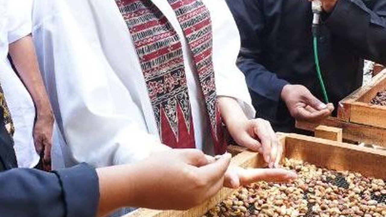 Banyuwangi Daftarkan Paten Indikasi Geografis Kopi Robusta