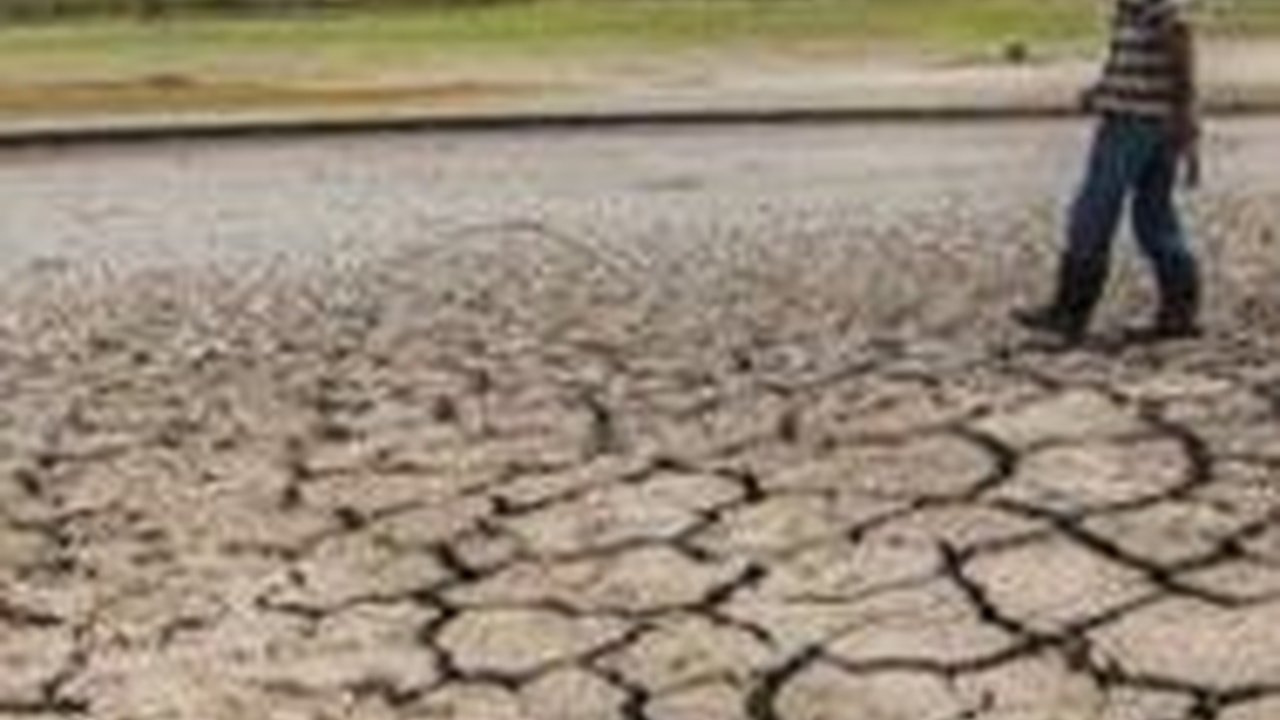 Warga Terdampak Kekeringan di Jateng Capai 9.153 Jiwa, Ini Penjelasan BPBD