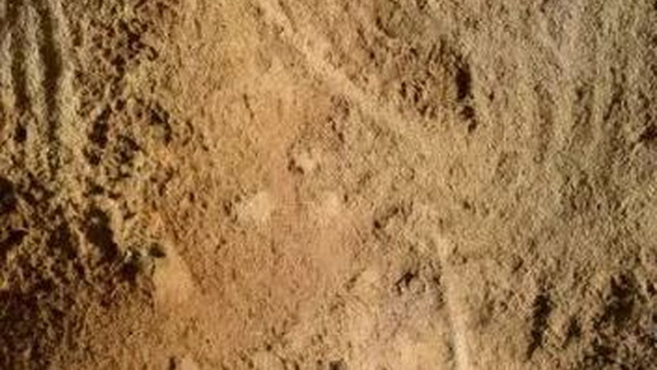 Ukiran Tertua Manusia Neanderthal Ditemukan di Gua Prancis, Maknanya Masih Misterius