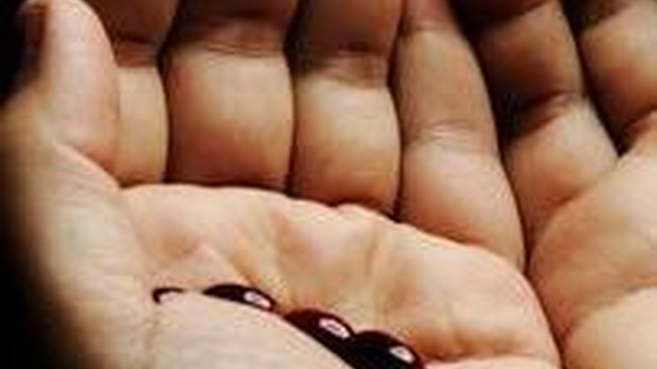 Niat Sholat Taubat Lengkap dengan Tata Cara dan Doanya