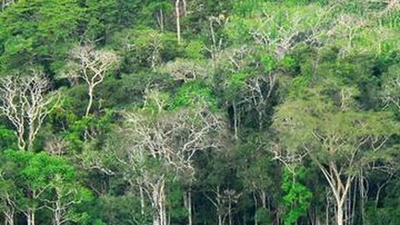 5 Kota dengan Kualitas Udara Paling Bersih di Indonesia