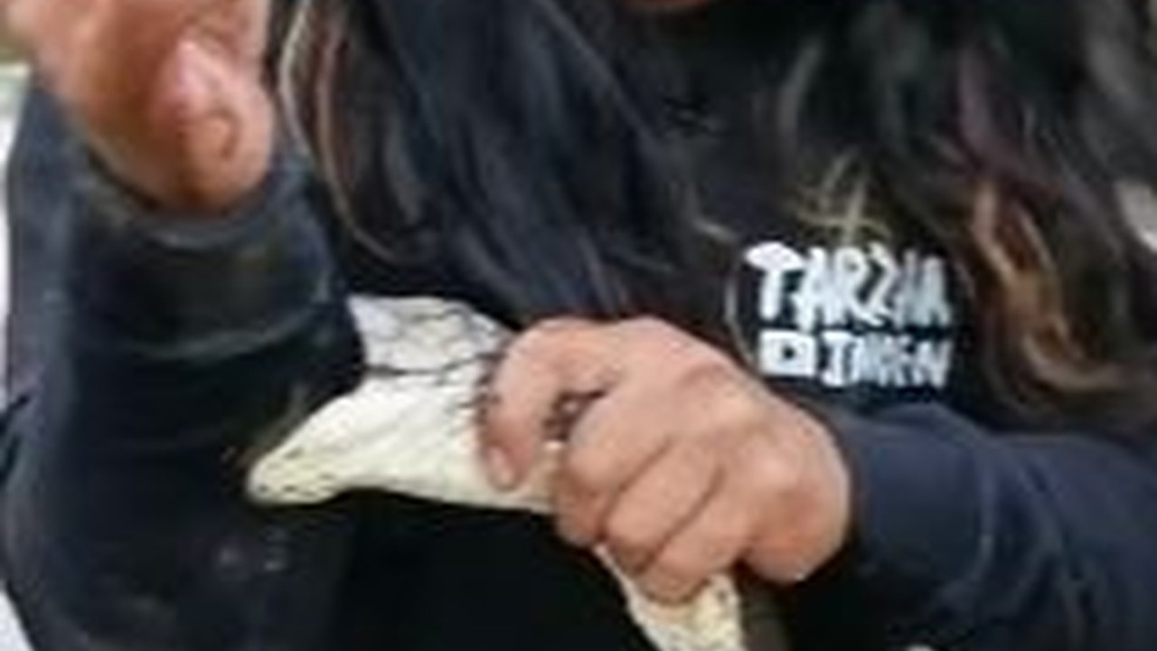 Dipatuk Ular, Ini Pertolongan Pertama yang Wajib Dilakukan