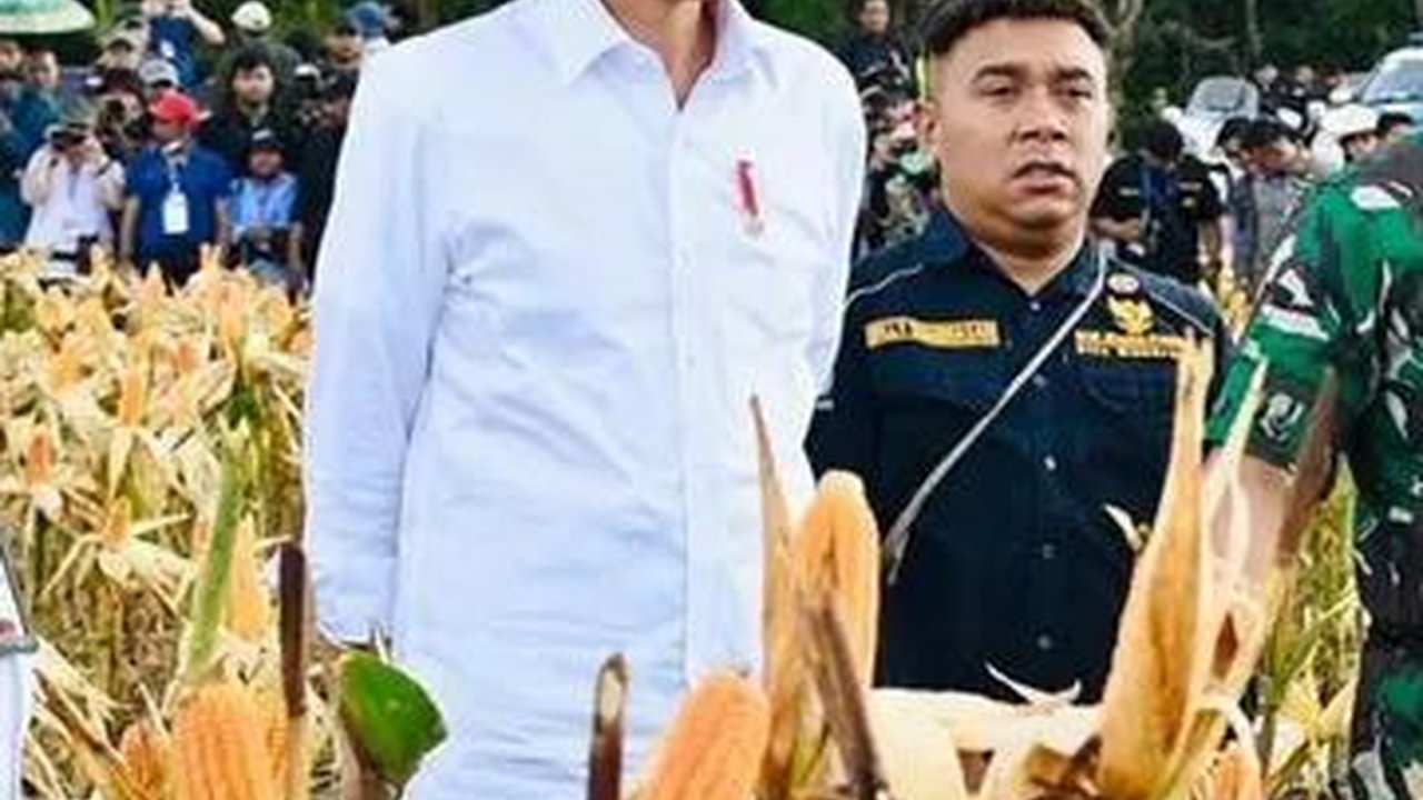 PKB Pertanyakan Motif PDIP Kritik Food Estate: Kenapa Baru Sekarang?
