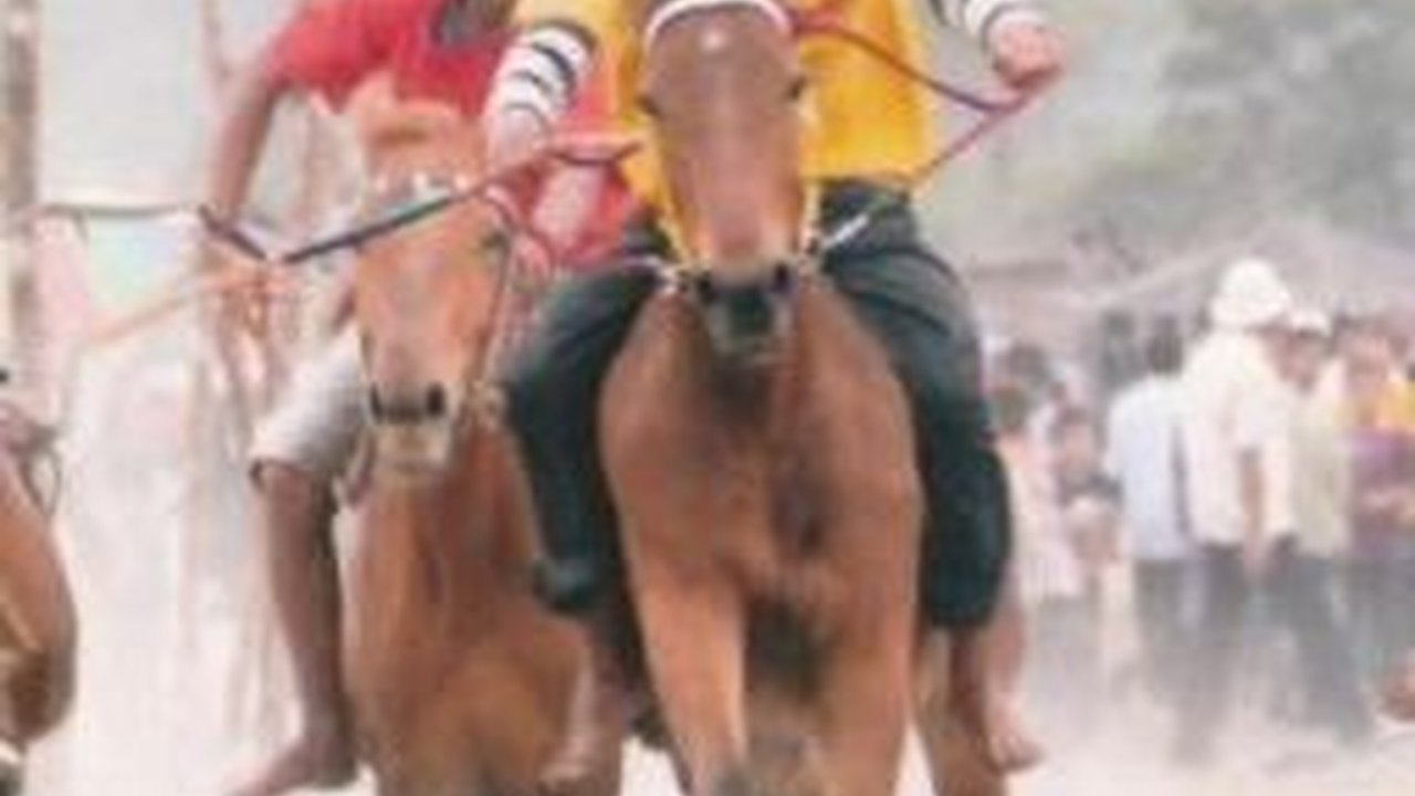 Mengenal Pacu Kude, Tradisi Unik Menyambut Hari Kemerdekaan Khas Masyarakat Aceh Tengah